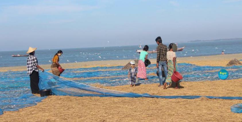 သဲခုံရွာမှ ငါးလုပ်ငန်း တစ်ခုကို တွေ့ရစဉ်