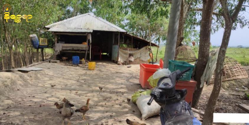 ဓာတ်ပုံ-မောင်တောမြို့နယ် မြောက်ပိုင်းမှ ပုဇွန်မွေးမြူရေးကန်တစ်ခုကိုတွေ့ရစဉ်