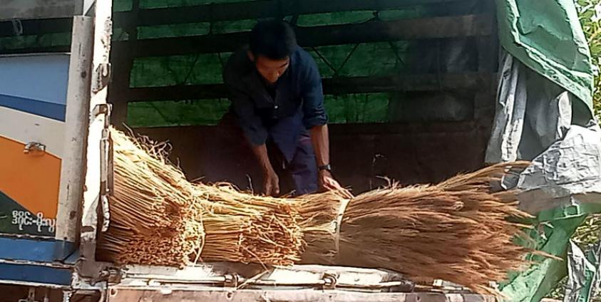 အမ်းမြို့နယ်မှ ကျူပင်အခက်ရောင်းဝယ်ရေး လုပ်ငန်းခွင်တစ်ခုကို တွေ့ရစဉ်။/ ဓာတ်ပုံ - ဒေါက်တာ ဝင်းမြင့်လေး