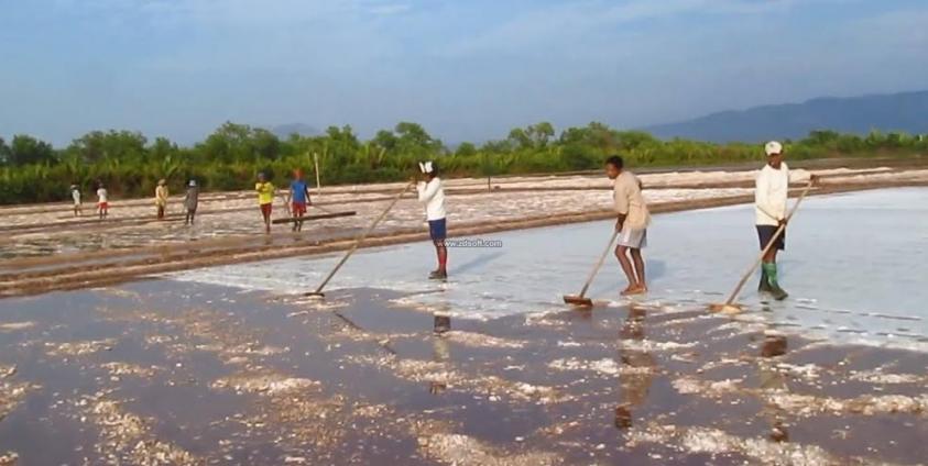 ပငဆားကွင်း(MNA)