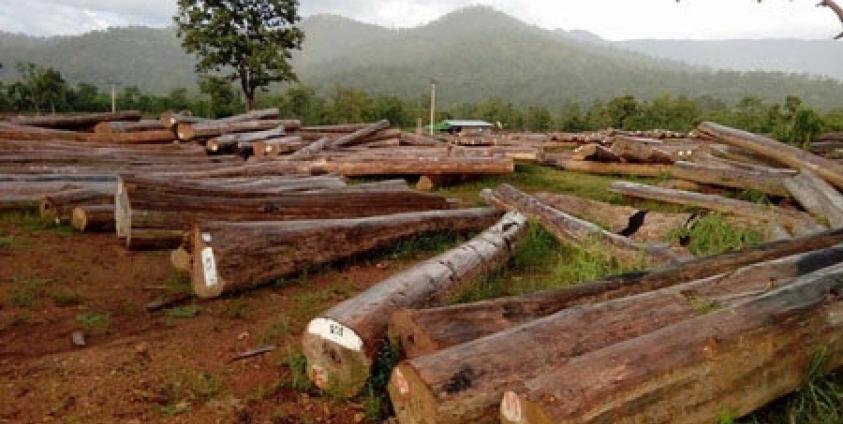 ၂၀၁၄-၂၀၁၅ ဘတ်ဂျတ်နှစ် အတွင်းထုတ်လုပ်ခဲ့သည့်စ်များ ဖားဆောင်းမြို့ ပါပု သစ်ဆိပ်တွင် တွေ့ရပုံ (ဓါတ်ပုံ - စိုင်းလင်းလင်းဦး)