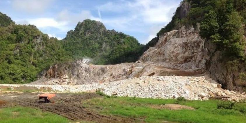 ပျားတောင်(MNA)