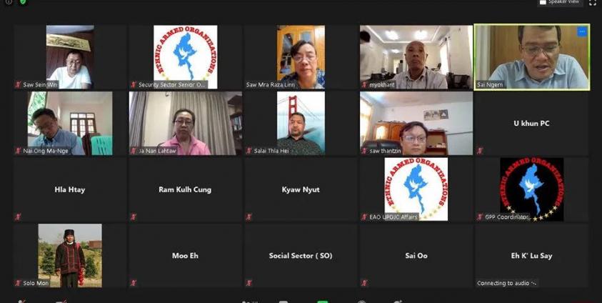 NCA-S EAO Online Meeting- June 10 (NCA-S EAO)