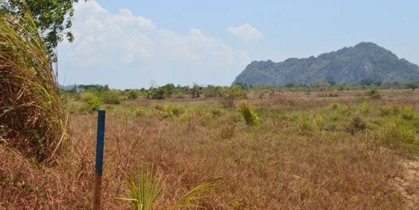 Farmland earmarked for the construction of the cement factory (Photo: GS)