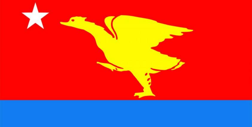 မွန်ဒေသလုံးဆိုင်ရာဒီမိုကရေစီပါတီ အလံပုံ