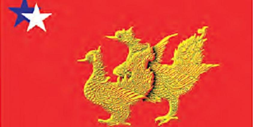 အမျိုးသမီးပါတီ (မွန်) အလံ(Copy)