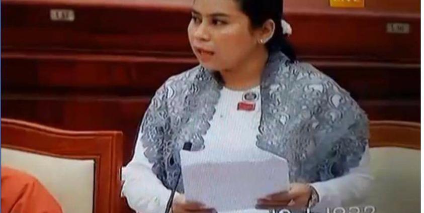 ပြည်သူ့လွှတ်တော်အစည်းအဝေး၌ တိုက်တွန်းကြောင်းအဆိုတင်သွင်းသည့် မိကွန်ချမ်း(Facebook)