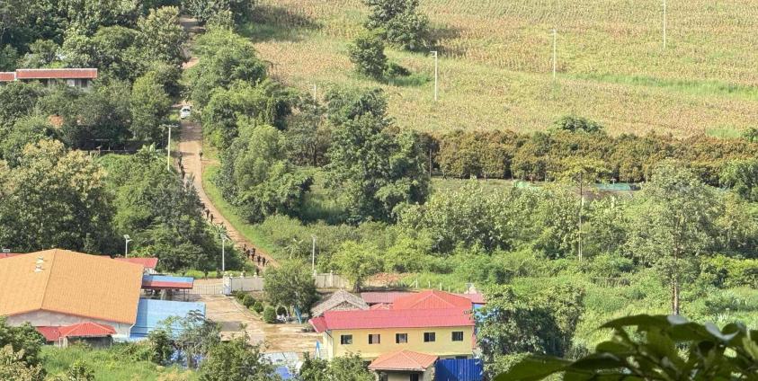 Photo credit - Saw Smith 