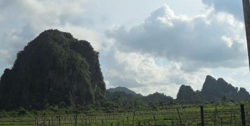 ပျားတောင်(MNA)