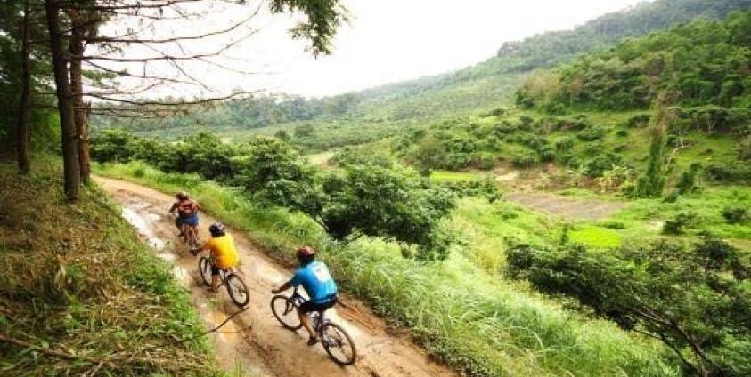 ချင်းမိုင်မြို့မှ Green Bike စက်ဘီးနင်းအဖွဲ့တစ်ဖွဲ့(Internet)