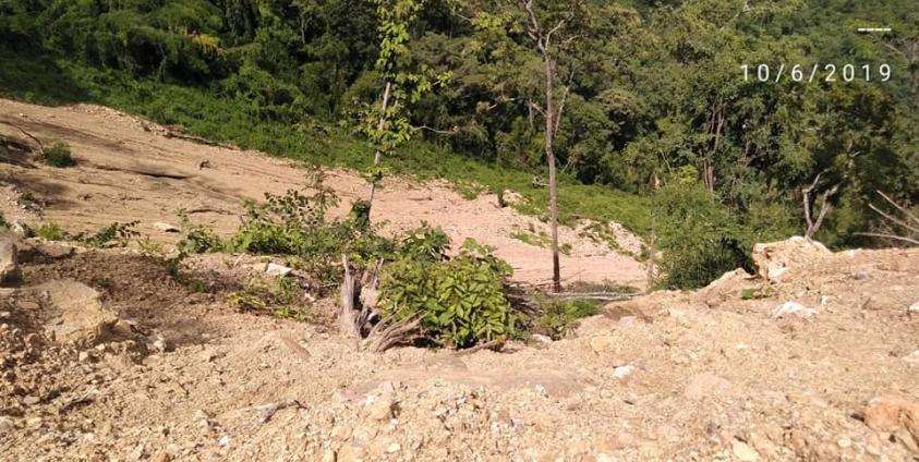 သစ်တောများ ခိုးထုတ်သည့် နေရာ