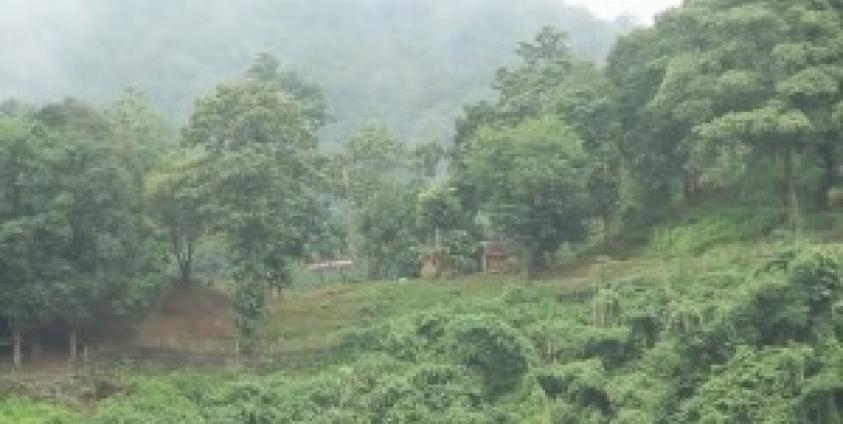 A Burma Army Camp in Papun District, Karen State