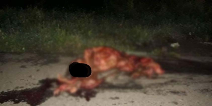 လမ်းလယ်ခေါင်ကားကြိတ်သေဆုံးနေပုံ(ဓာတ်ပုံ- Nay Lin Aung)လမ်းလယ်ခေါင်ကားကြိတ်သေဆုံးနေပုံ(ဓာတ်ပုံ- Nay Lin Aung)