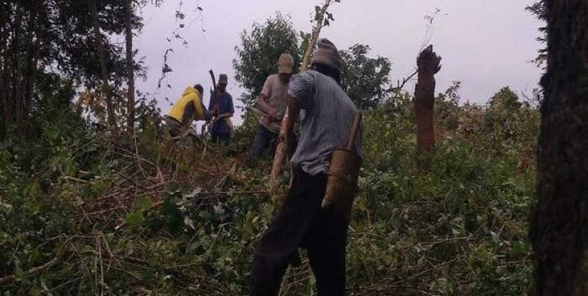 Photo SHRF – တပ်မှဆင့်ဆိုသော သစ်များ ၀ါးများကို ရွာသားများသွားရောက်ခုတ်ယူပေးနေပုံ