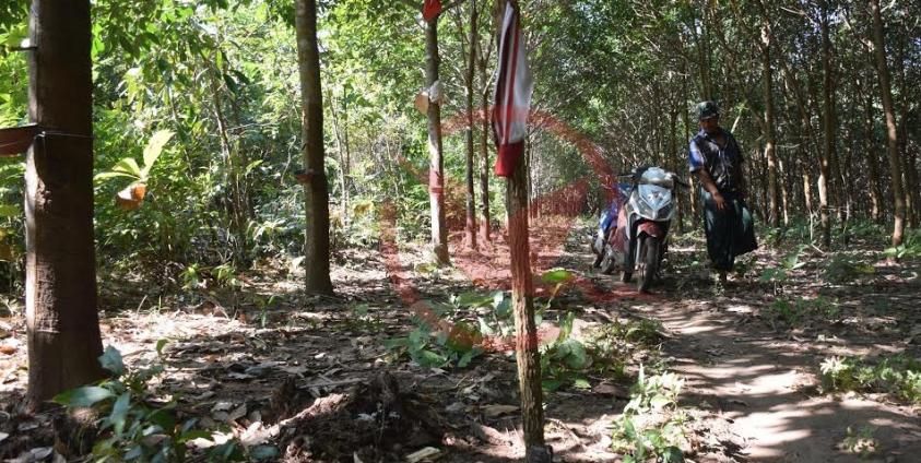 ဓါတ်အားလိုင်းဖြတ်သန်းမည့် ရာဘာခြံတစ်နေရာ(MNA)