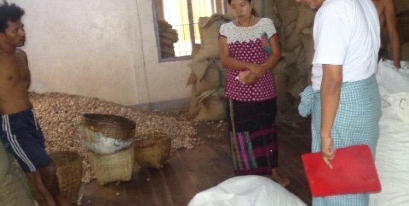 ရေးမြို့ ကွမ်းသီးခြောက်များ (IMNA)