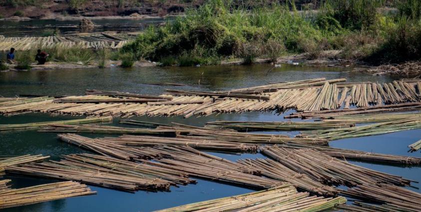 ဘူးသီးတောင်မြို့နယ်၊ စိုင်းတင်ရေတံခွန်အနီး တွေ့ရသော ဝါးခုတ်သမားများ