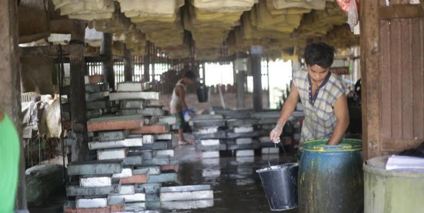 ရာဘာပြားထုတ်လုပ်ပုံ(MNA)