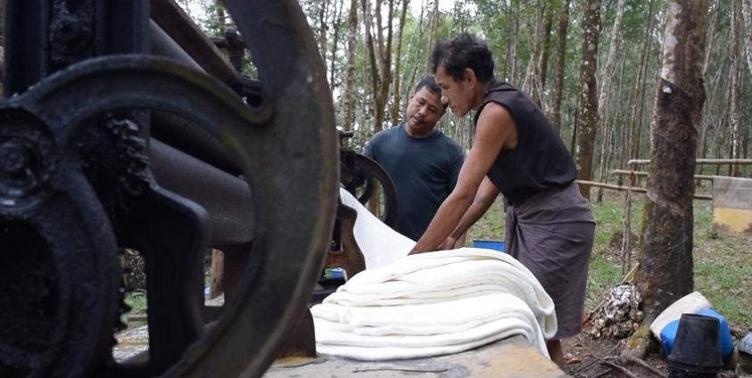 ရာဘာကြိတ်ပြားများ(photo: MNA)