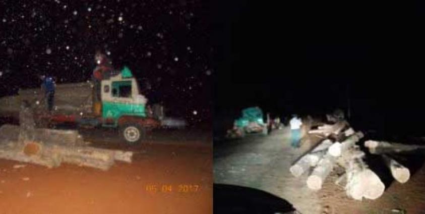 The Kayah State Forestry Department inspects timber suspected of having been illegally harvested.