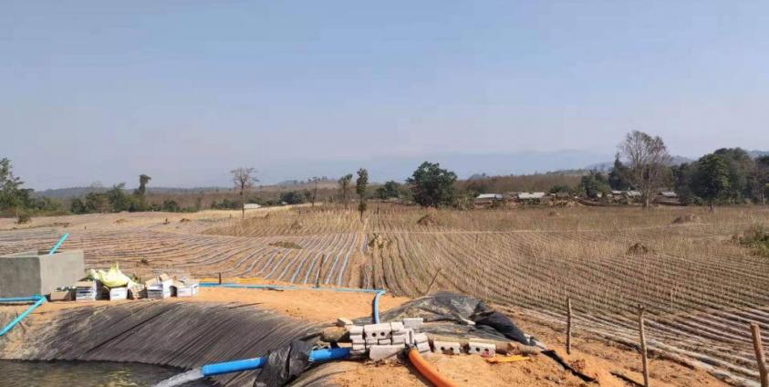 Photo by ကုန်းပေါင်းကျေးရွာ ဒေသခံတစ်ဦး/ မန်ပန်ဌာနေ ပြည်သူ့စစ် သိမ်းဆည်းထားသည့် လယ်ယာမြေများ