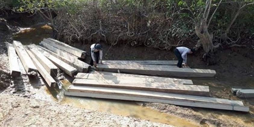 အမ်းမြို့နယ်တွင် ပိုင်ရှင်မဲ့ သစ် ၁၅ တန်ကျော် ဖမ်းဆီးမိ