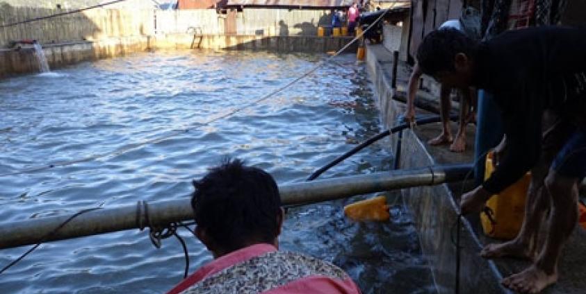 ခဲသတ္တုပါဝင်မှုများသည့် မောချီးတောင်ပေါ်ရေ ကျန်းမာရေး အန္တရာယ်ရှိ (ဓါတ်ပုံ-ကေတီ)