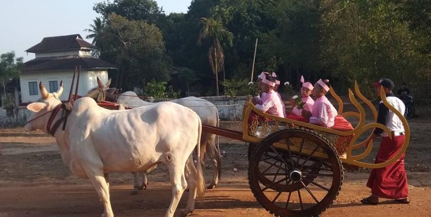 ဘီလူးကျွန်း လှည်းယာဉ်အလှ(photo/Facebook)