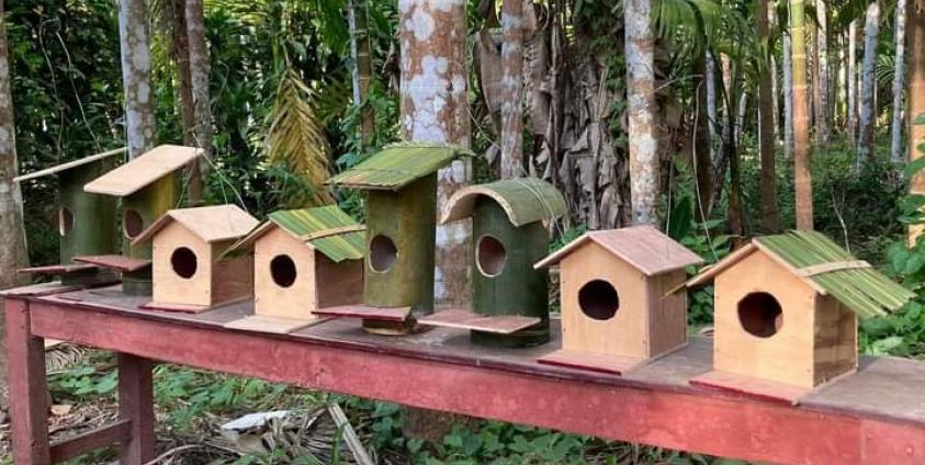 ဓာတ်ပုံ- ဦးအောင်ဇေမင်း