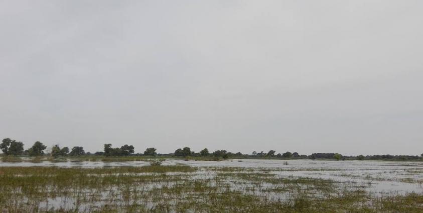 Mon State’s Department of Agriculture says the flood damage to farmland was more extensive this year, than last. (photo; Internet) 