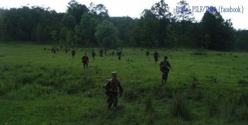 PSLF/TNLA Troops (From PSLF/TNLA Facebook page.)