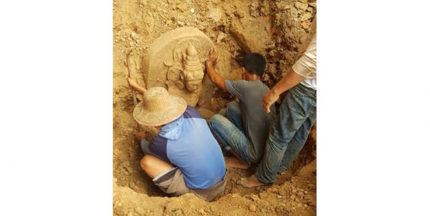 Photos - Golden Land Fruit