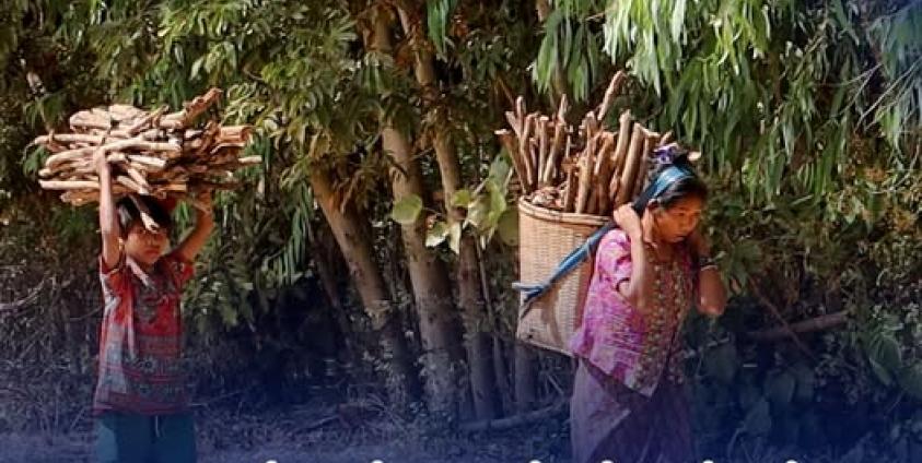 ထင်းခုတ်၍ ပြန်လာကြသည့် ပုဏ္ဏားကျွန်းမြို့နယ်၊ သဲတော်စစ်ဘေးရှောင်များအား ယခုလအတွင်း တွေ့ရစဉ်။ 