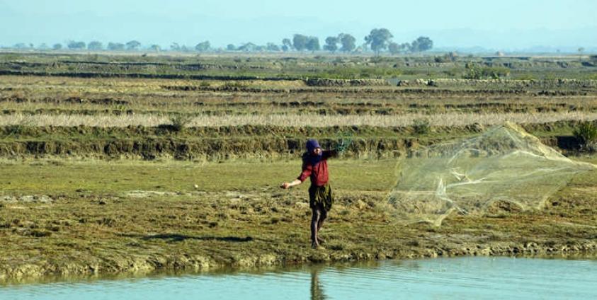 ဓာတ်ပုံ (ကျော်မင်း/စစ်တွေ)