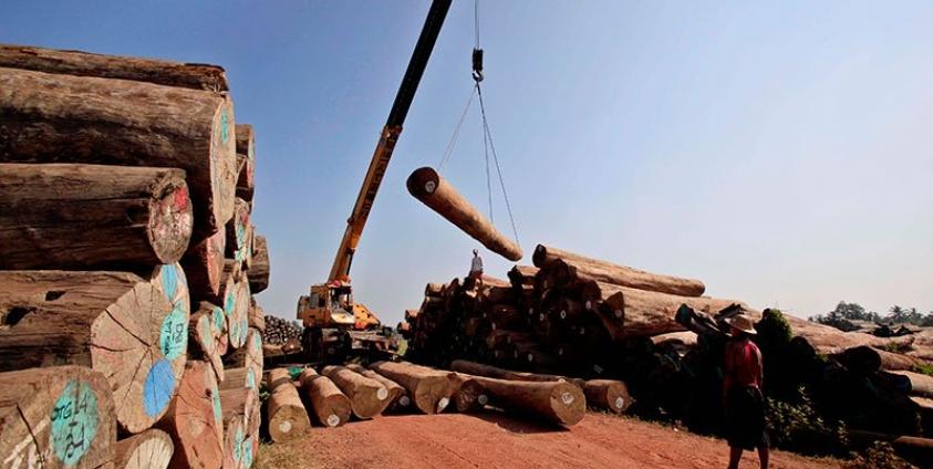 Workers lift teak logs with a crane at a timber area on the outskirts of Yangon. Photo: Nyein Chan Naing/EPA