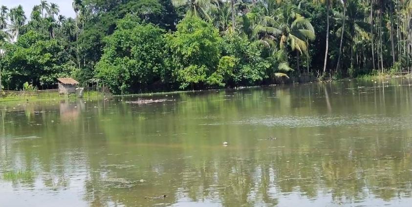 မကျည်းတောကျေးရွာအတွင်း ဆားငံရေဝင်ရောက်မှုအခြေအနေ။ ဓာတ်ပုံ- ချစ်ကျော်