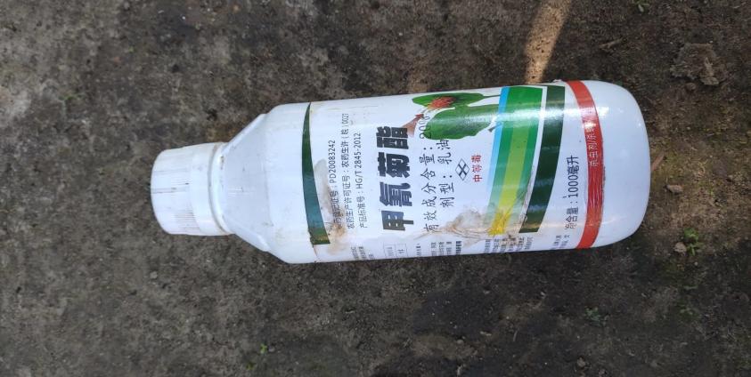 ချောင်းဘေးတွေ့ရသည့် ပိုးသတ်ဆေးဘူး