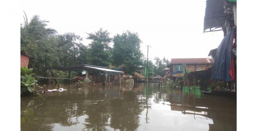 Houses have been submerged by the flooding (Photo – MNA)