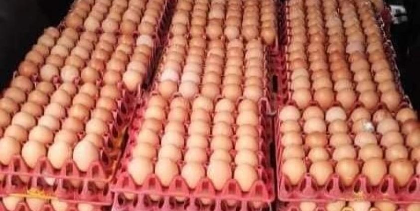 ကြက်ဥရောင်းဝယ်ရေး