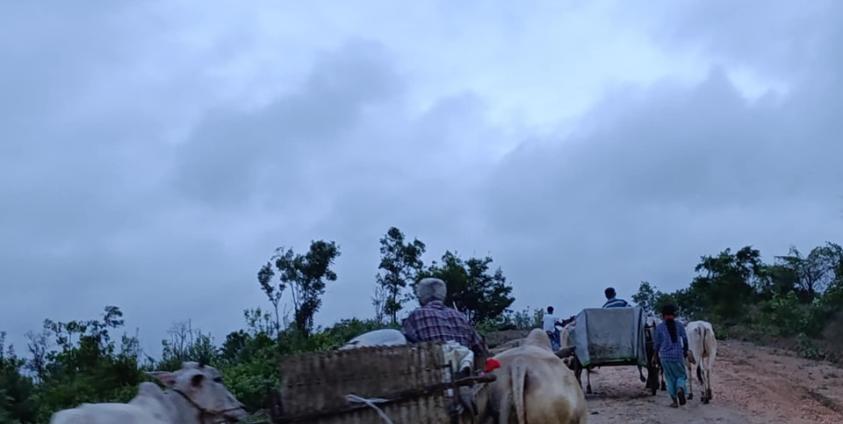 ပေါက်မြို့နယ် လူသားချင်းစာနာထောက်ထားရေးနှင့် ဘေးအန္တရာယ်ဆိုင်ရာ စီမံခန့်ခွဲရေးဌာန။