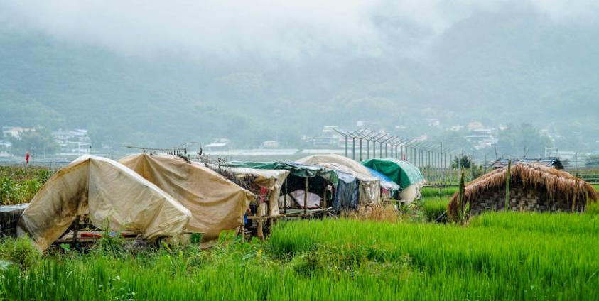 ဓာတ်ပုံ - Mai (MNWM)