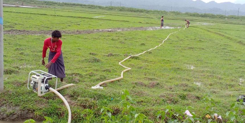 လက်ရှိ ကျောက်တော်မြို့နယ်မှ လယ်ကွင်းများကို တွေ့ရစဉ်။ Photo- CJ