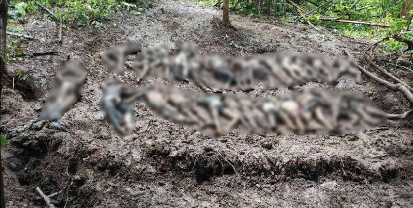 Photo - အလောင်းများစုပြုံထားသည့်နေရာ (မြဝတီသတင်းစဥ်)