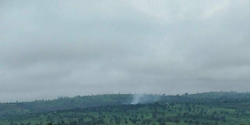 ဓါတ်ပုံ - PNLA