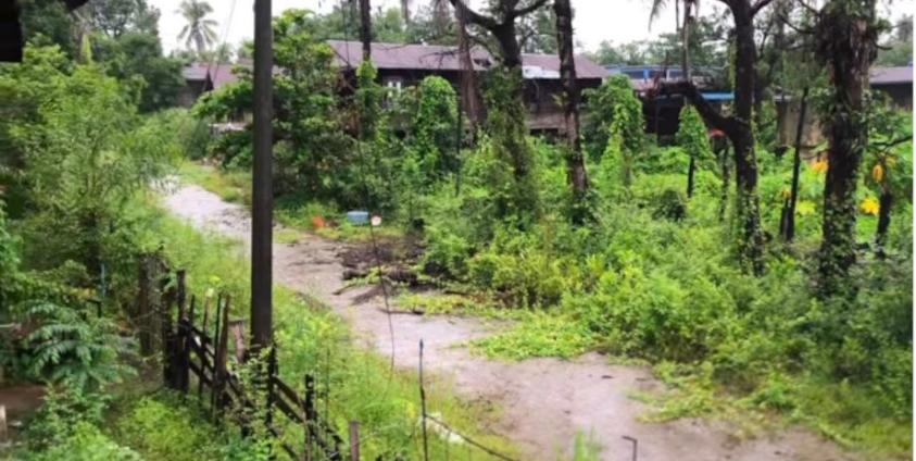 ဓာတ်ပုံ - CJ