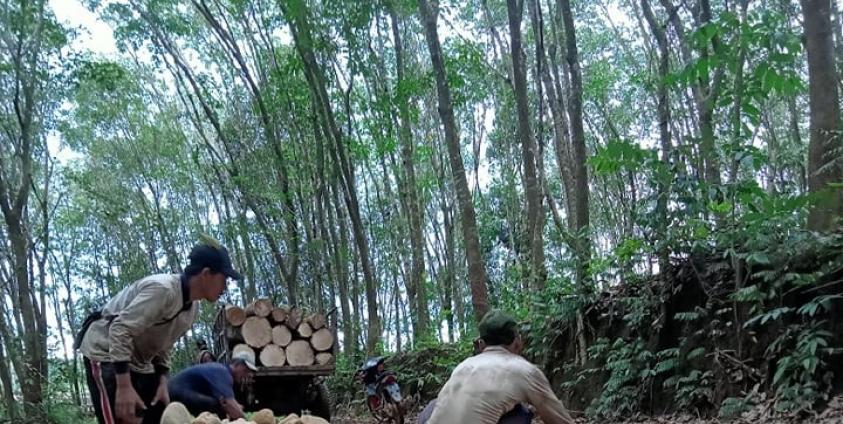 အဖမ်းခံရပြီး ပြန်လည်လွတ်မြောက်လာသူ ၃ ဦး (Aung Aung)