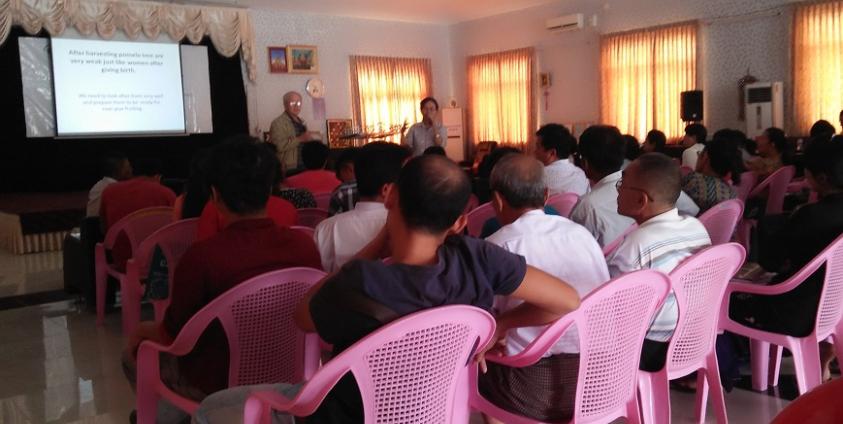 ကျွဲကောသီးစိုက်ပျိုးရေးနည်းပညာ သင်တန်း(photo: MNA)