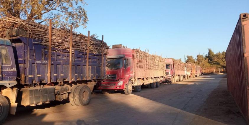 နောင်ချိုမြို့နယ်အတွင်းမှ ကြံကားများ။