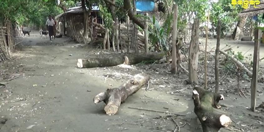 လမုတပင်ကျေးရွာမြင်ကွင်းအား ယခင်က တွေ့ရစဉ်။