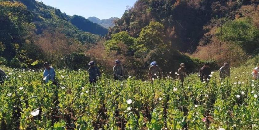 Photo by မူးယစ်ရဲတပ်ဖွဲ့